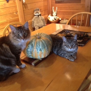 Atticus and Hunter